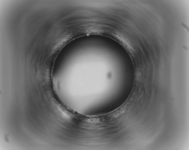 X0000096460353200801241411