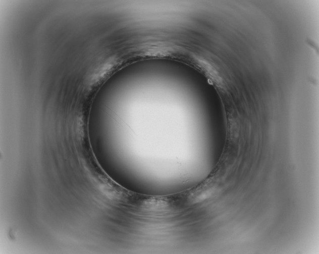 X0000096460354200801241411
