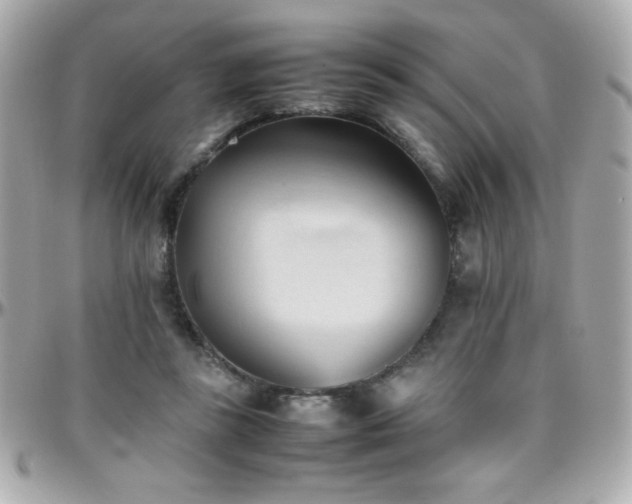 X0000096460355200801241411