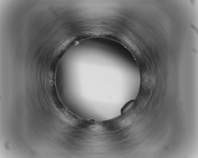 X0000096460356200801241411