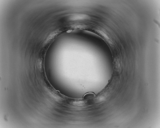 X0000096460357200801241411