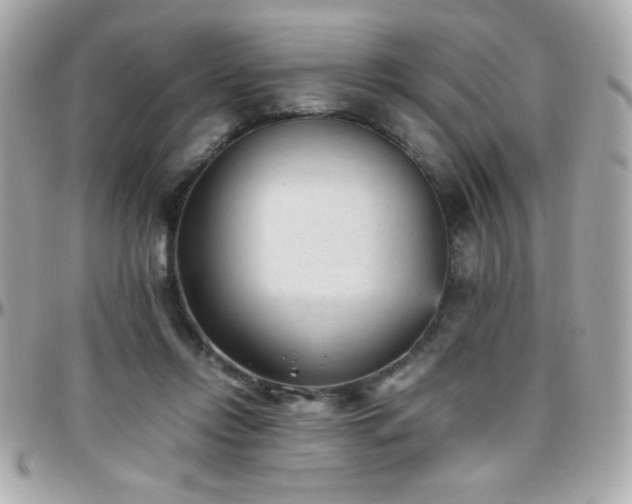X0000096460358200801241411