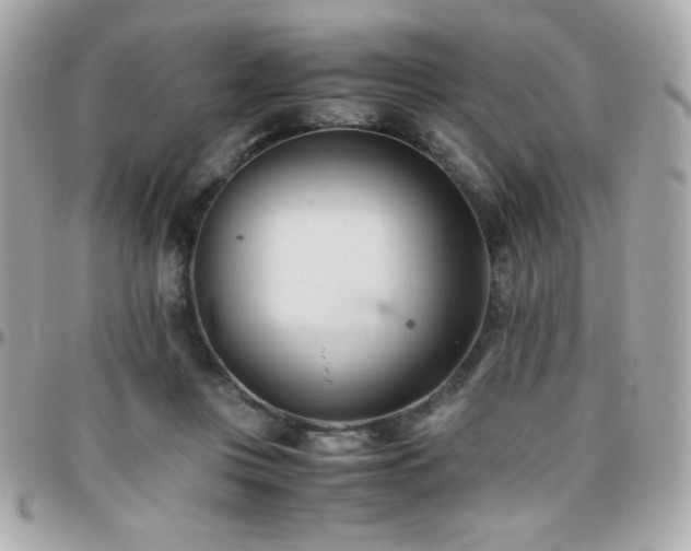 X0000096460359200801241411