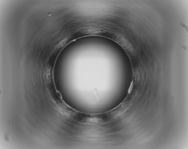X0000096460360200801241411