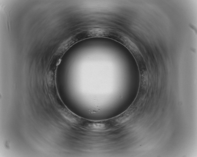 X0000096460361200801241411