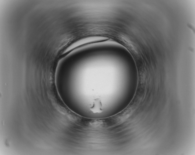 X0000096460362200801241411