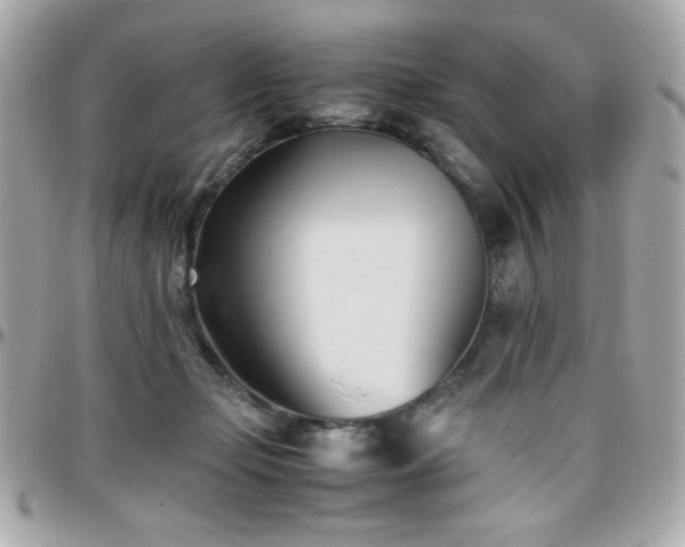 X0000096460365200801241412