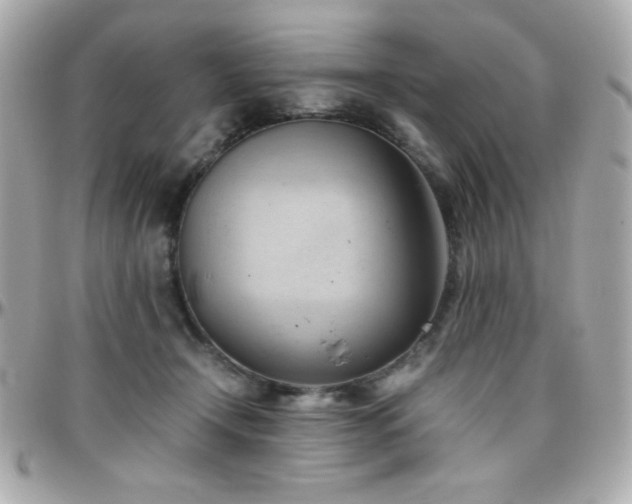 X0000096460366200801241412