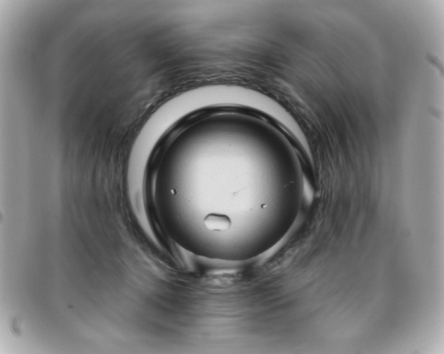 X0000096460368200801241412