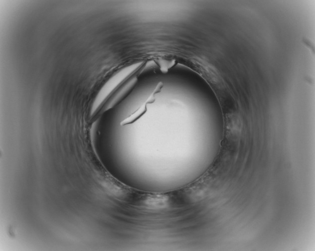 X0000096460369200801241412