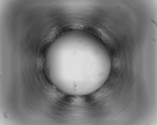 X0000096460370200801241412