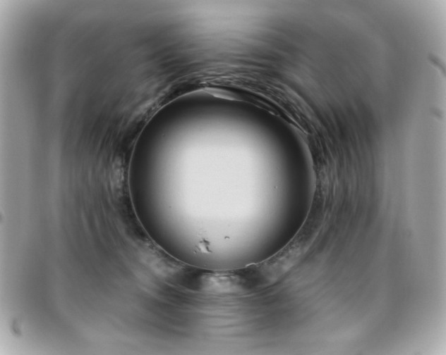 X0000096460372200801241412