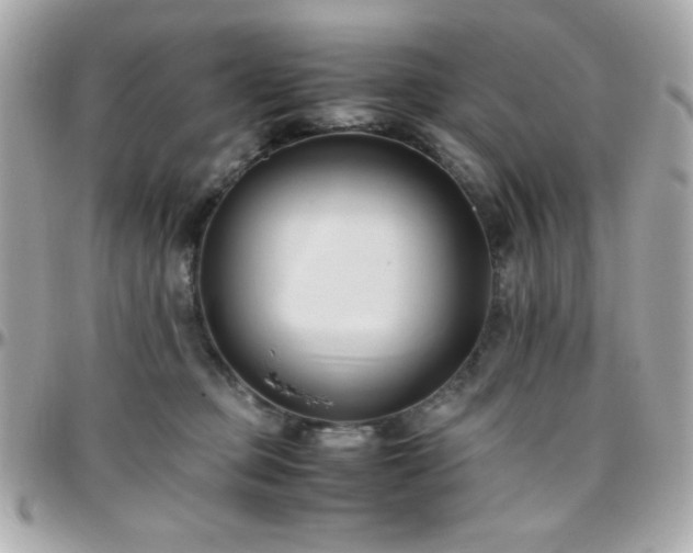 X0000096460373200801241412