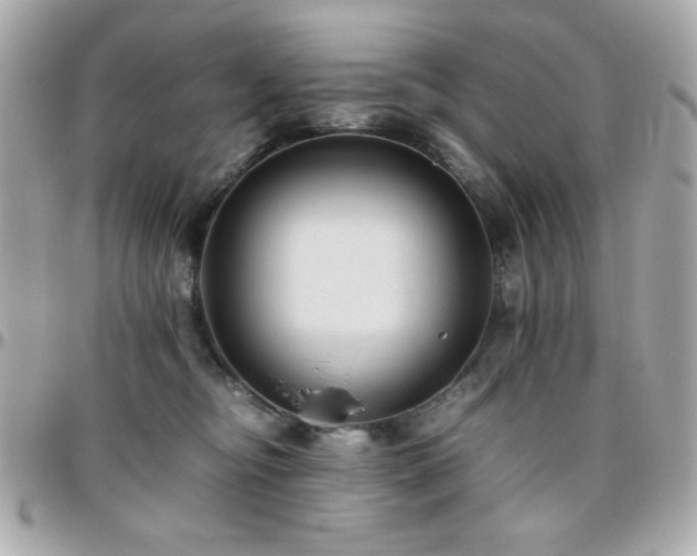 X0000096460374200801241412