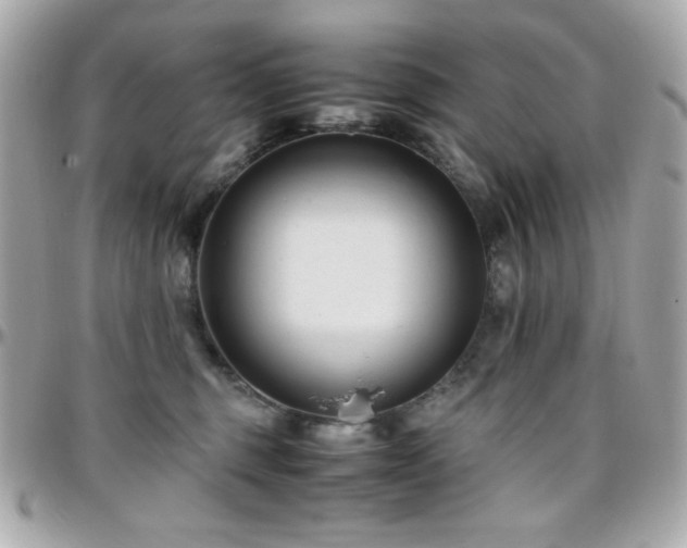 X0000096460375200801241412