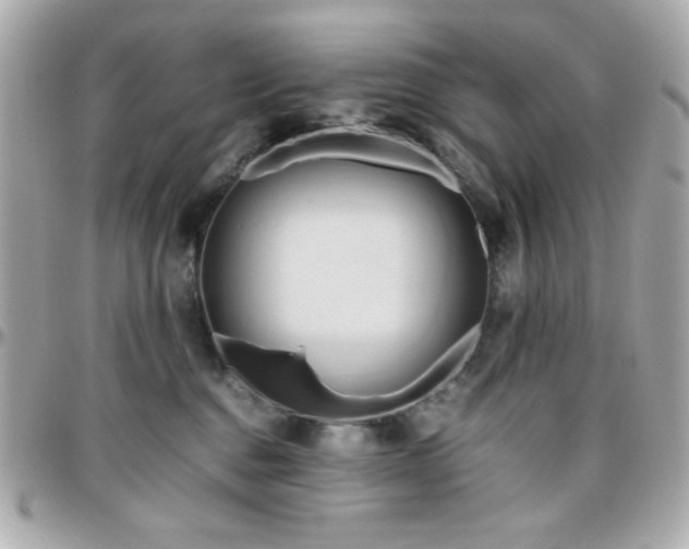 X0000096460376200801241412