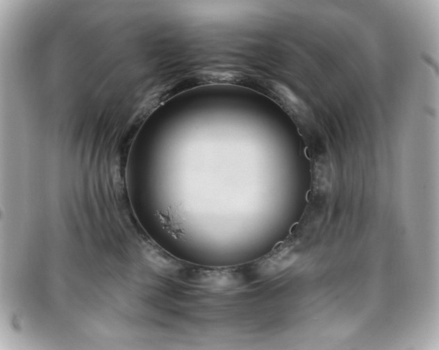 X0000096460377200801241412