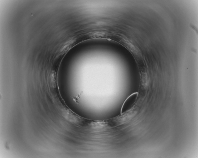 X0000096460378200801241412