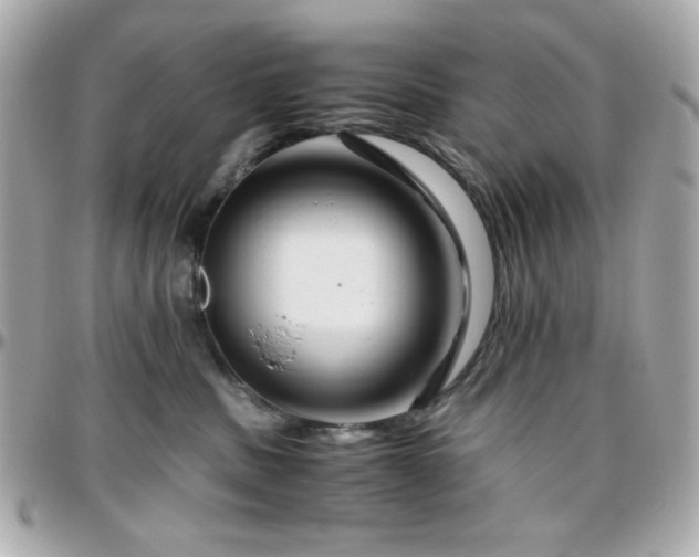 X0000096460379200801241412