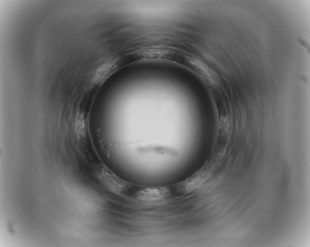 X0000096460381200801241412