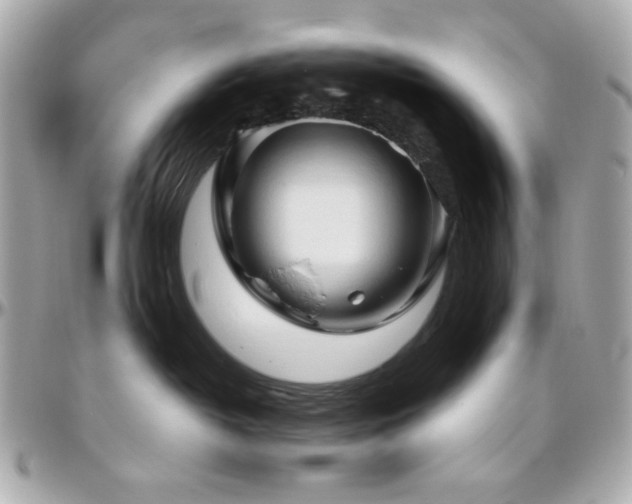 X0000096460382200801241412