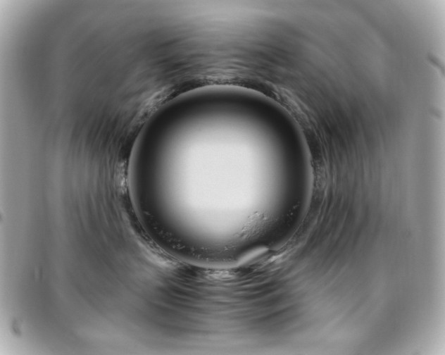 X0000096460383200801241412