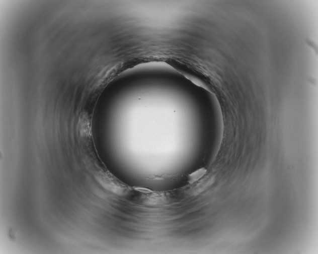X0000096460384200801241412