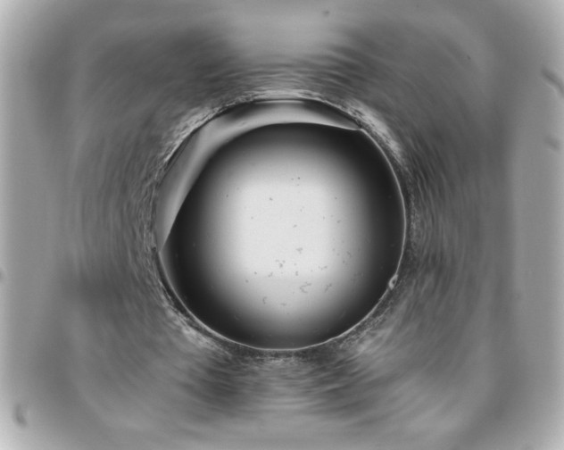 X0000096460385200801241411