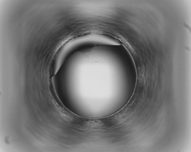 X0000096460386200801241411
