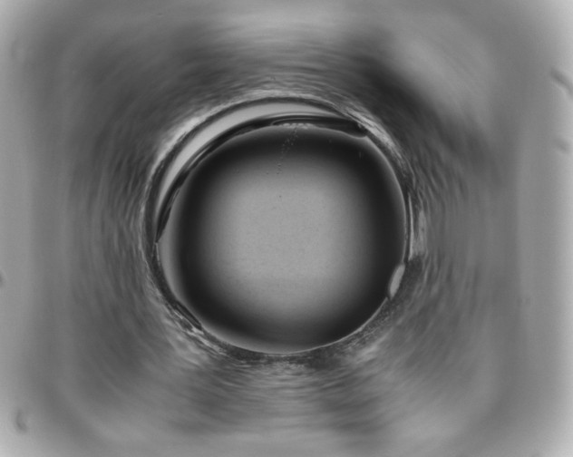 X0000096460387200801241411