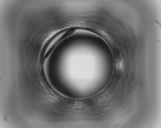 X0000096460388200801241411