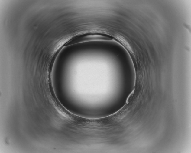 X0000096460389200801241411