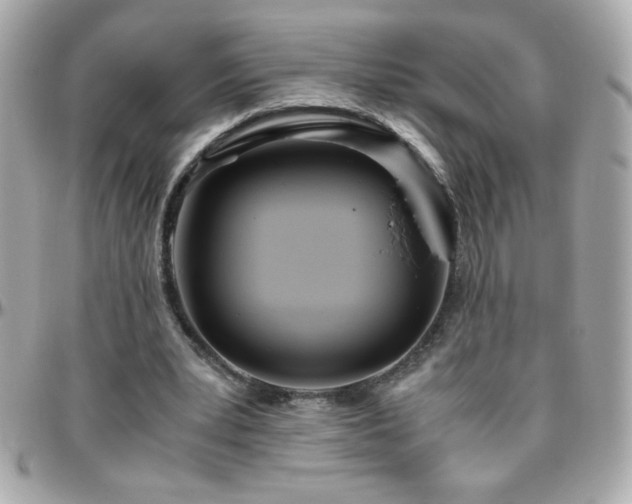 X0000096460391200801241411