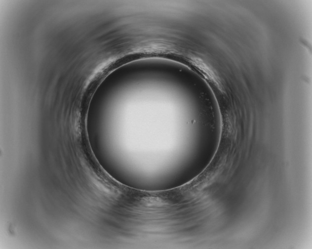 X0000096460392200801241411