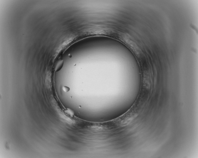 X0000096460394200801241411
