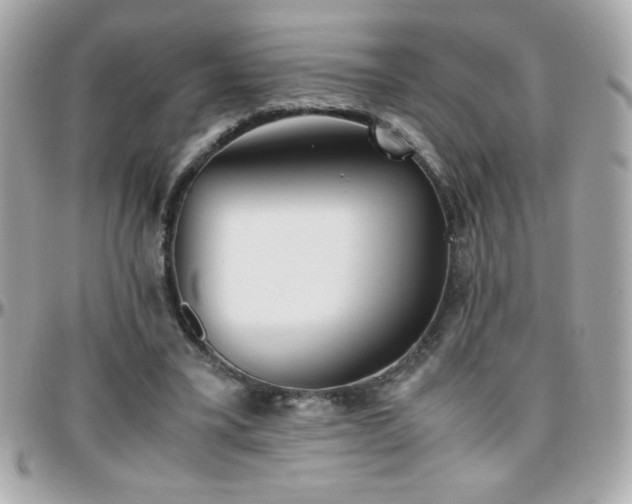 X0000096460395200801241411
