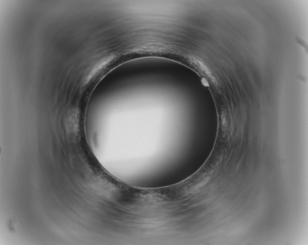 X0000096460396200801241411
