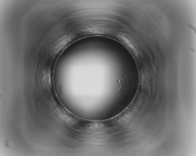 X0000096460398200801241411