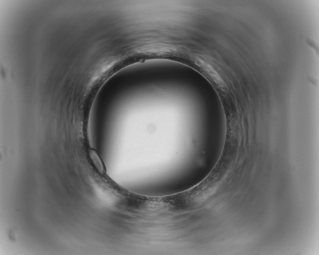 X0000096460399200801241411