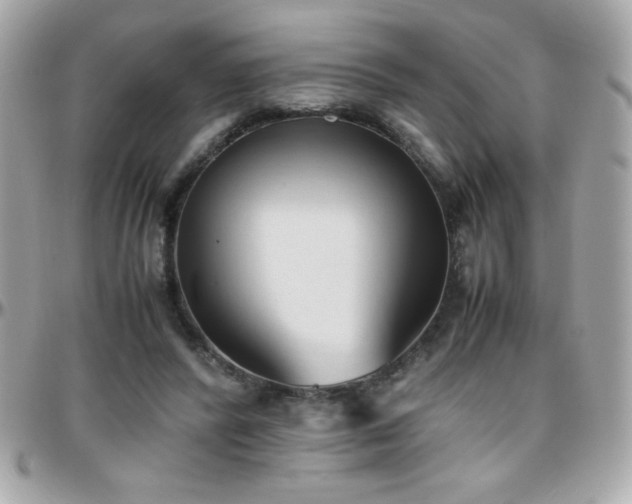 X0000096460400200801241411
