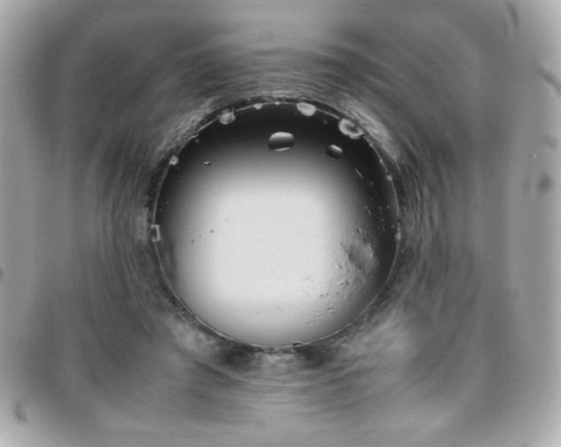 X0000096460401200801241411