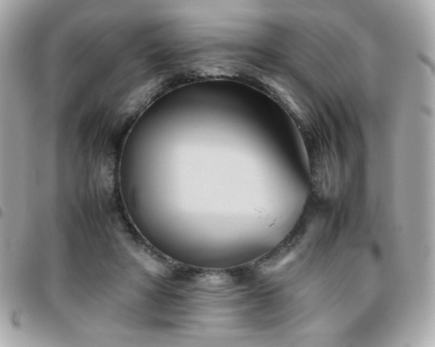X0000096460402200801241411