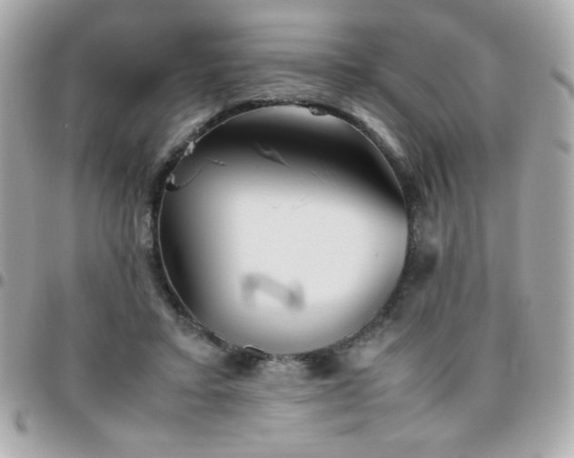 X0000096460403200801241411