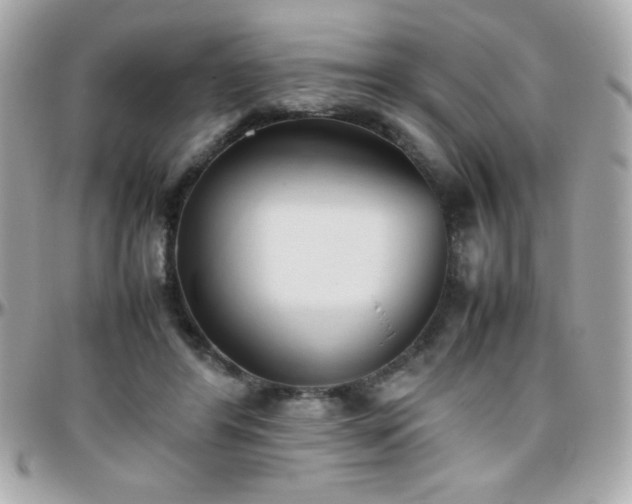 X0000096460404200801241411