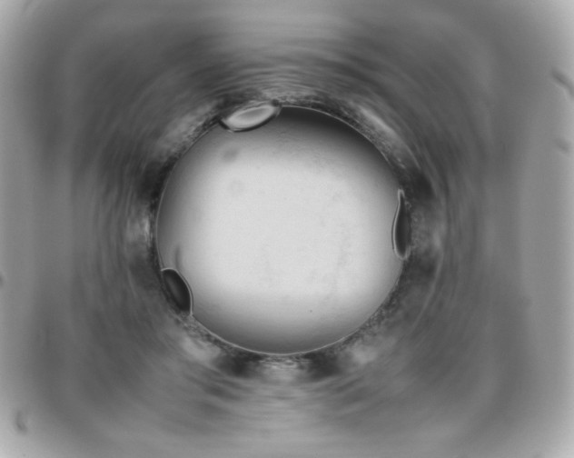 X0000096460405200801241411