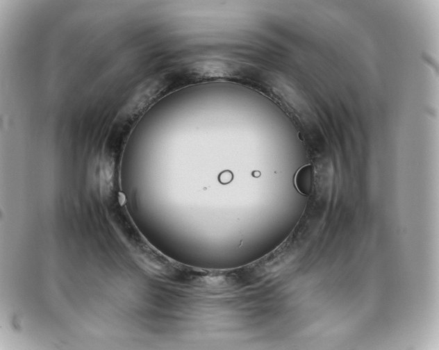 X0000096460406200801241411