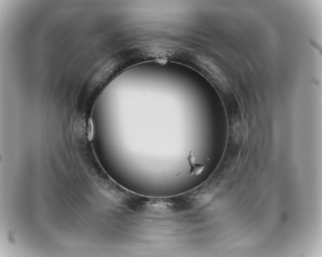 X0000096460407200801241411