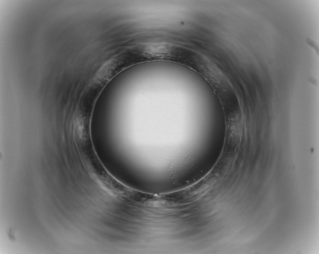 X0000096460408200801241411