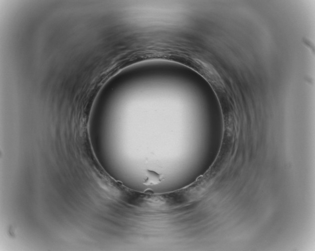 X0000096460409200801241411