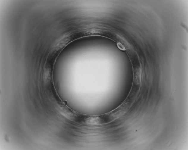 X0000096460410200801241411